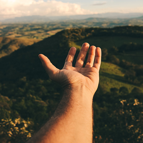 hand